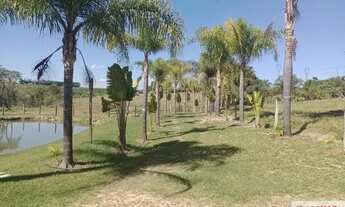 Imagem: Imperdível Sítio à Venda em Engenheiro