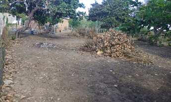 Imagem 2: Terreno em São José