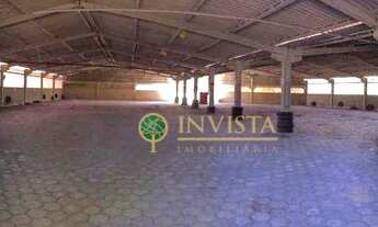 Imagem 5: Terreno no bairro Carianos - Florianópolis