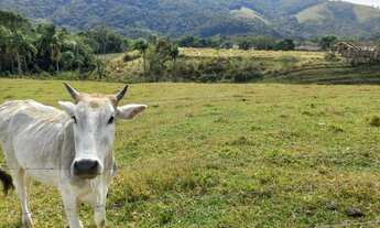 Imagem: Fazenda/Sítio/Chácara para venda 6 Hectares