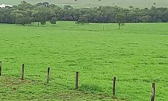 Imagem 2: Linda fazenda em Nova xavantina MT
