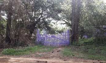 Imagem: Porto Alegre - Terreno Padrão - Lageado