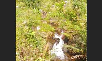 Imagem 2: São Bonifácio - Chácara - Rio do Poncho