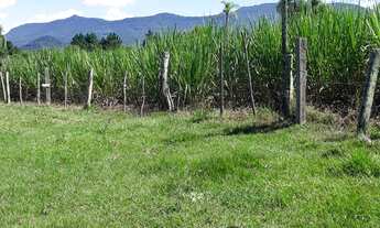 Imagem 7: Chácara em Nova Hartz