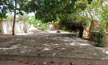 Imagem 6: Sítio com casa sede de 300m2 próximo a rio Catu em aquiraz