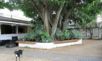 Imagem 2: CASA TÉRREA - JARDIM PAULISTA - SP