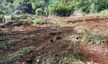 Imagem 3: Terreno em rua - Bairro Chácaras São Miguel em Londrina