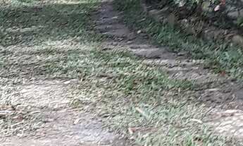 Imagem 6: Chácara Juquitiba- Miracatu