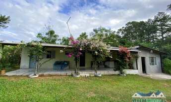 Imagem 4: Sítio dos seus sonhos em Águas Claras, com casa e diversas frutíferas