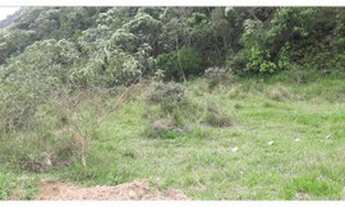 Imagem 6: 1 alqueires de terra