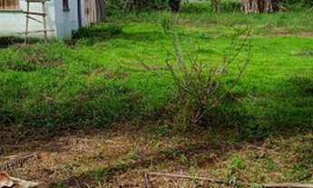 Imagem 2: Vendo um terreno