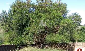 Imagem 4: Terreno (terreno normal