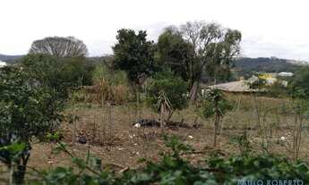 Imagem 6: TERRENO - PINHEIRINHO - SP