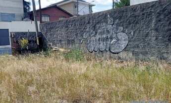 Imagem 7: TERRENO - BUTANTÃ - SP