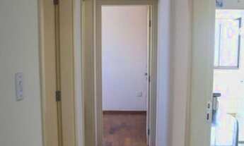 Imagem 5: APARTAMENTO - VILA MUSSOLINI - SP