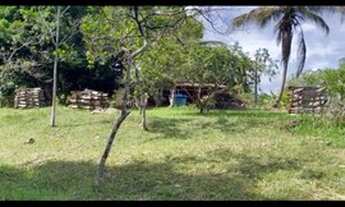 Imagem 2: SITIO EM ITACARÉ BAHIA. VENDO OU TROCO