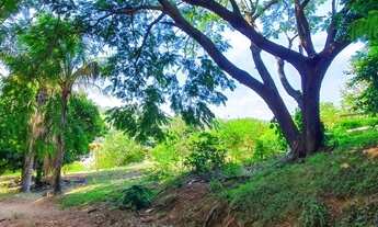 Imagem 7: SÍTIO - MORRO DAS PEDRAS - SP