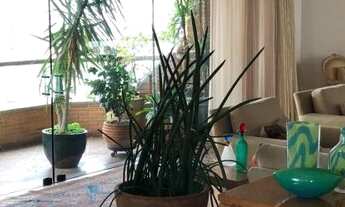 Imagem 7: APARTAMENTO - JARDIM PAULISTA - SP