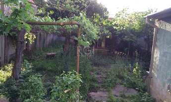 Imagem 4: Porto Alegre - Casa Padrão - Medianeira