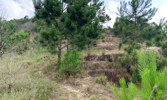 Imagem: Terreno com 2 hectares com vista total de