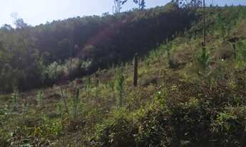 Imagem 6: Fazenda Vale Verde 74 Alqueires - Tunas do Paraná - Paraná - Marques de Abrantes