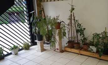 Imagem: CASA ASSOBRADADA - PARQUE MARIA DOMITILA