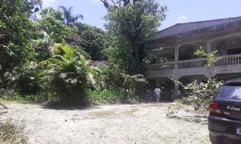 Imagem 6: Chácara com ótimo sobrado