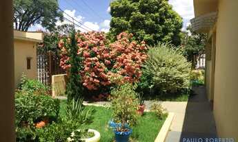 Imagem 2: CASA TÉRREA - JARDIM CICA - SP