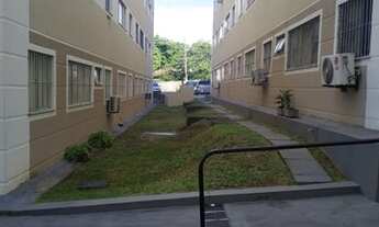 Imagem 4: Vendo Apartamento em Tejipio - Bosque das Palmeiras