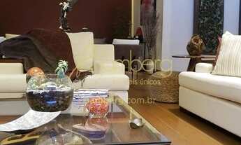 Imagem 4: Chácara Monte Alegre