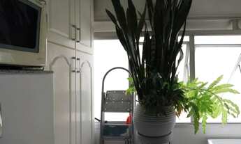 Imagem 6: APARTAMENTO - ACLIMAÇÃO - SP