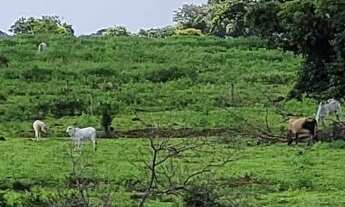 Imagem 2: Fazenda para Agricultura