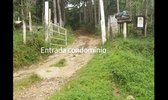 Imagem 2: Terreno Embu Guaçu de 4.000 com nascente