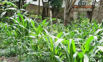 Imagem 3: Terreno de 980 m² no Bolsão de Interlagos