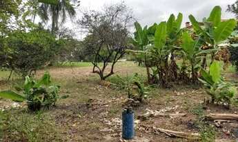 Imagem 7: TERRENO - JARDIM CURRUPIRA - SP