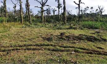 Imagem 5: Linda vista, terreno 250,10 m2, escritura definitiva!