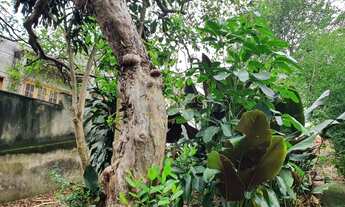 Imagem 5: Terreno à Venda no Jardim Prudência