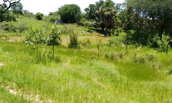 Imagem 7: Fazenda 3.5 Alqueires Municipio Jaragua