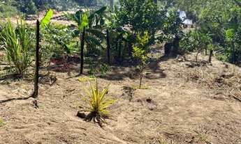 Imagem 6: Vendo Terreno em Porto Dourado/Serra - 1450m2