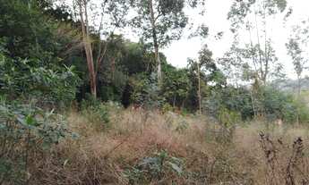 Imagem 5: Chácara troco por casa