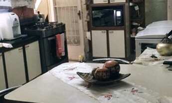 Imagem 4: SOBRADO - JARDIM SANTO ALBERTO - SP