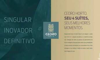 Imagem 2: Cedro Horto Florestal