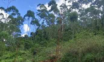 Imagem 3: Vende se leia o anúncio