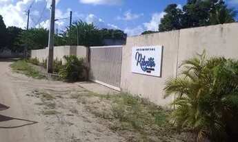 Imagem: Aluguel de casa em Paripueira