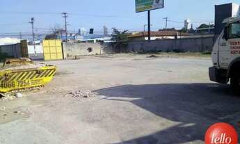 Imagem 5: São Bernardo do Campo - Terreno Padrão - Rudge Ramos