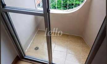 Imagem 3: São Paulo - Apartamento Padrão - Tucuruvi