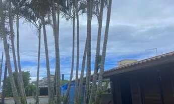 Imagem 2: PALHOçA - Casa Padrão - Barra do Aririú