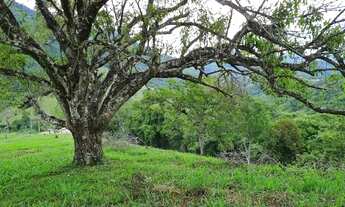 Imagem 6: Chácara com Linda vista, com escritura