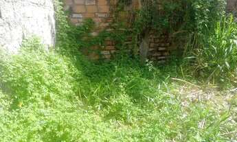 Imagem 3: Vendo casa na ilha de Itaparica