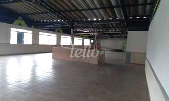 Imagem 4: São Bernardo do Campo - Loja/Salão - Demarchi